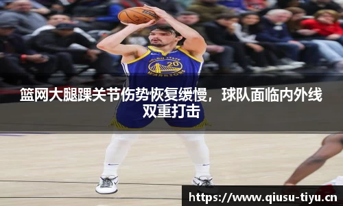 球速体育平台