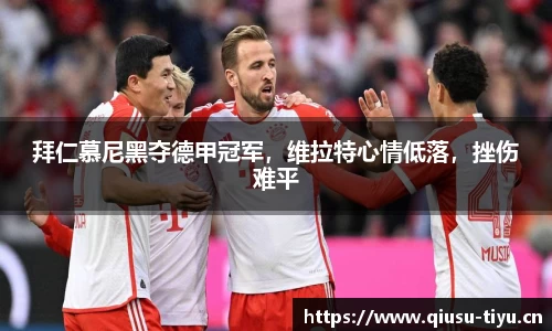 球速体育官方网站