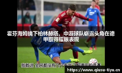 球速体育平台