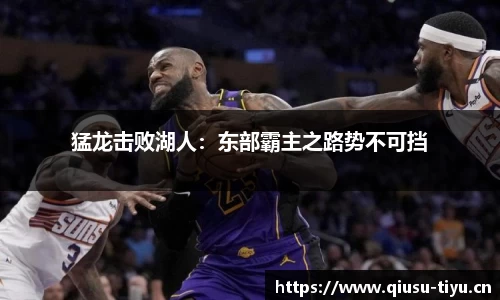 球速体育官网