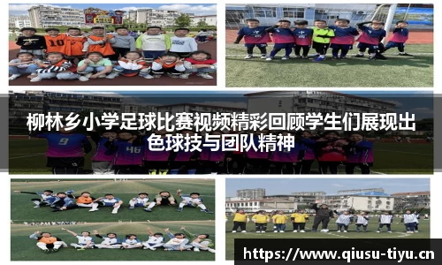 球速体育官方网站