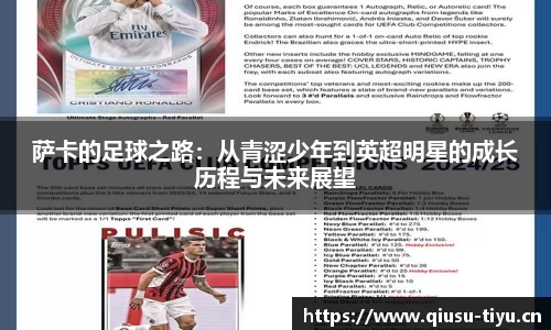 球速体育